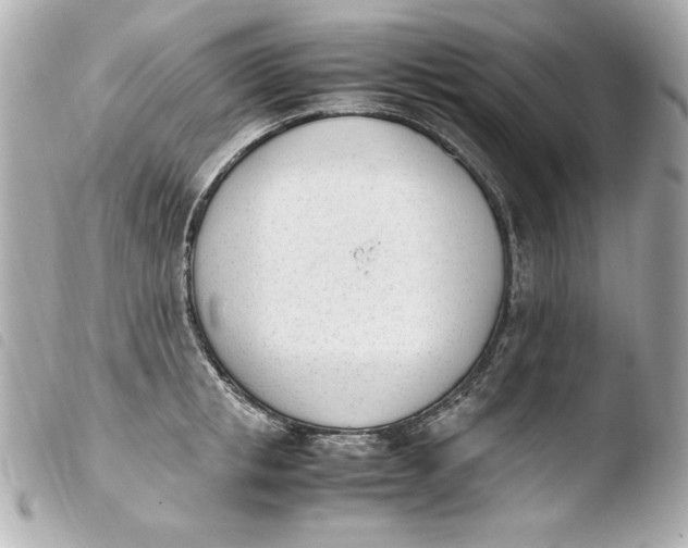 X0000103940853200810031320