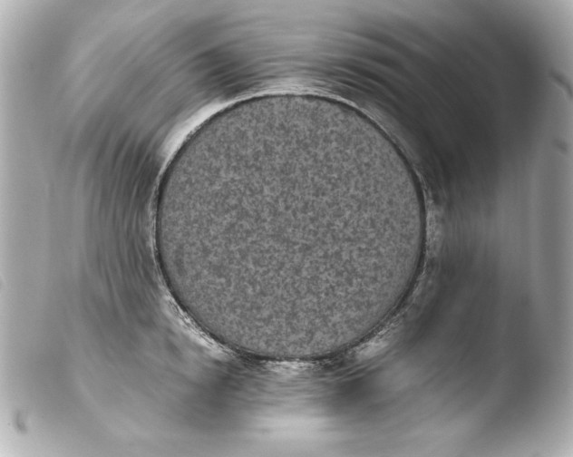 X0000103940854200810031320