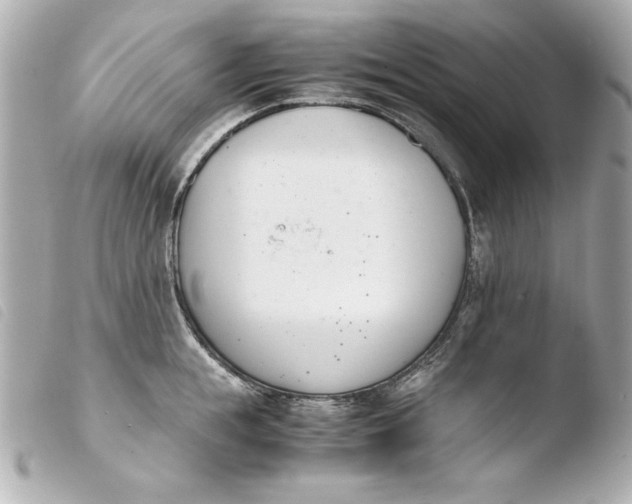 X0000103940855200810031320