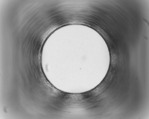 X0000103940856200810031320