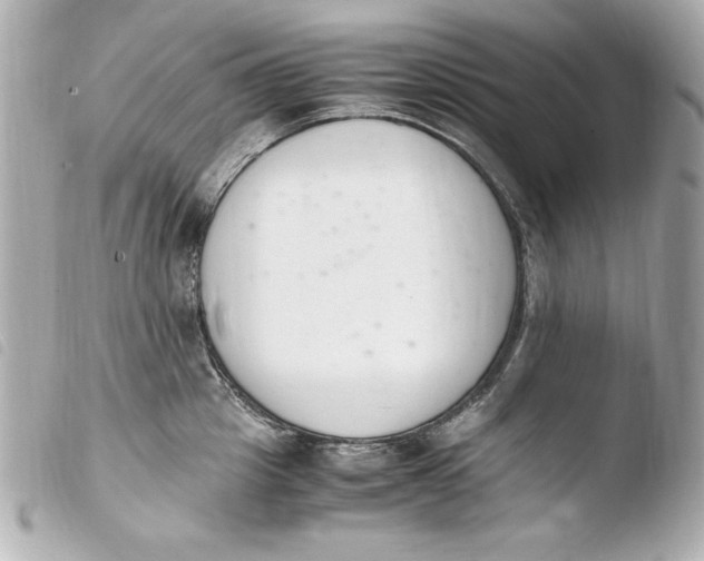 X0000103940857200810031320