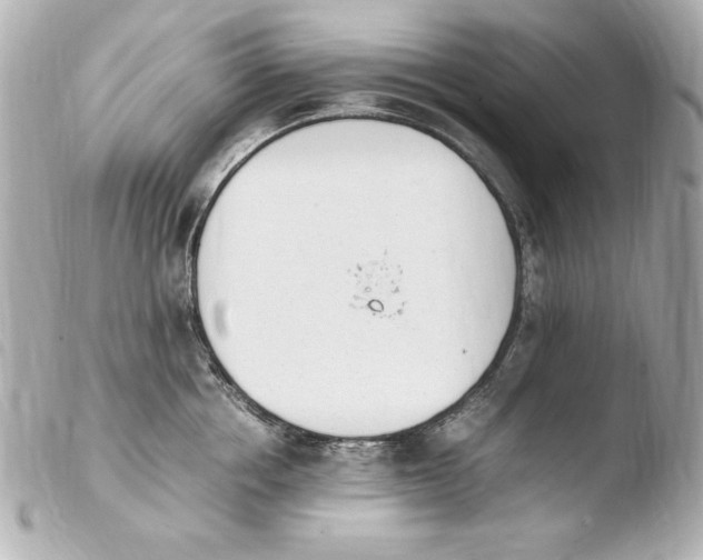 X0000103940858200810031320