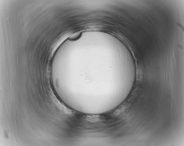 X0000103940859200810031320