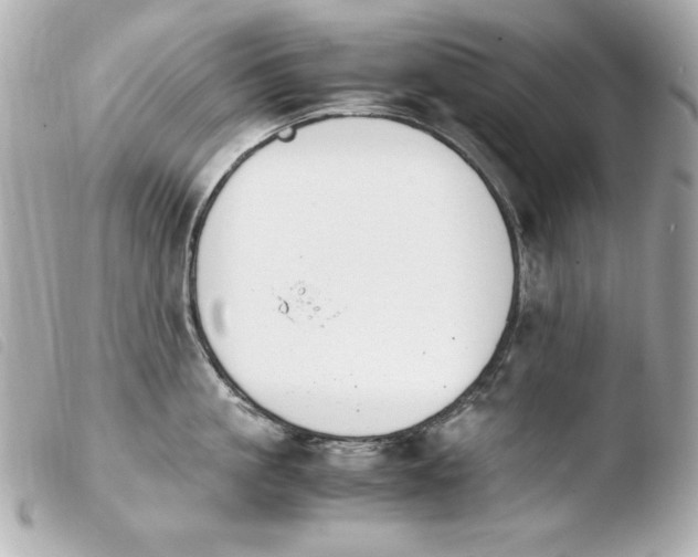 X0000103940861200810031320