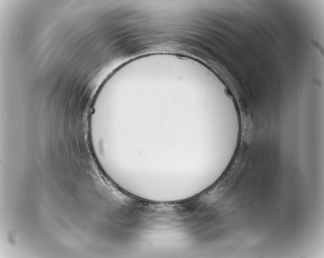 X0000103940862200810031320