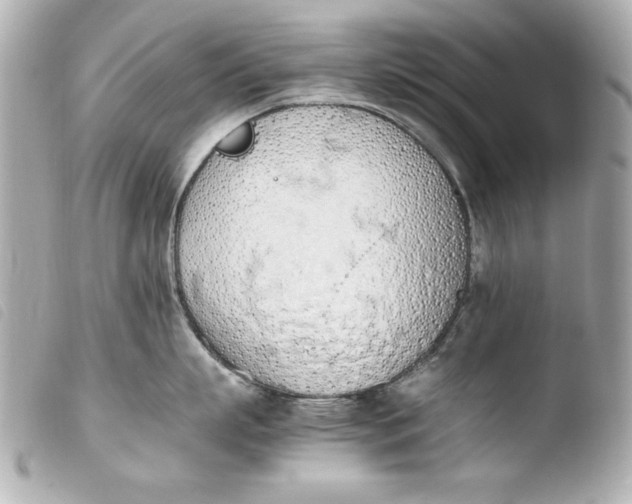 X0000103940863200810031320