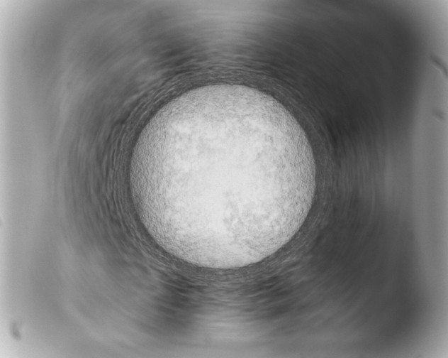 X0000103940865200810031320