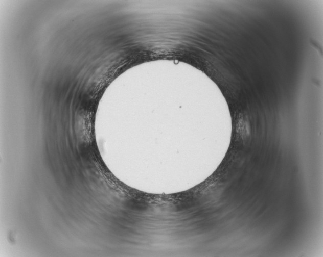 X0000103940868200810031320