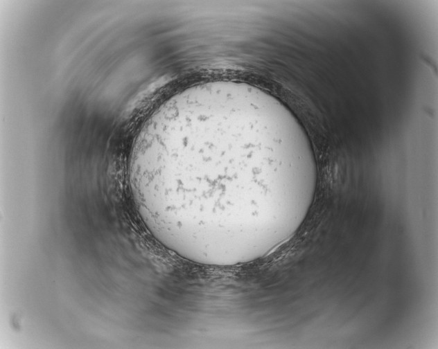 X0000103940870200810031320