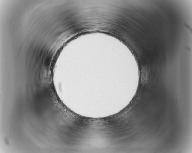 X0000103940876200810031320