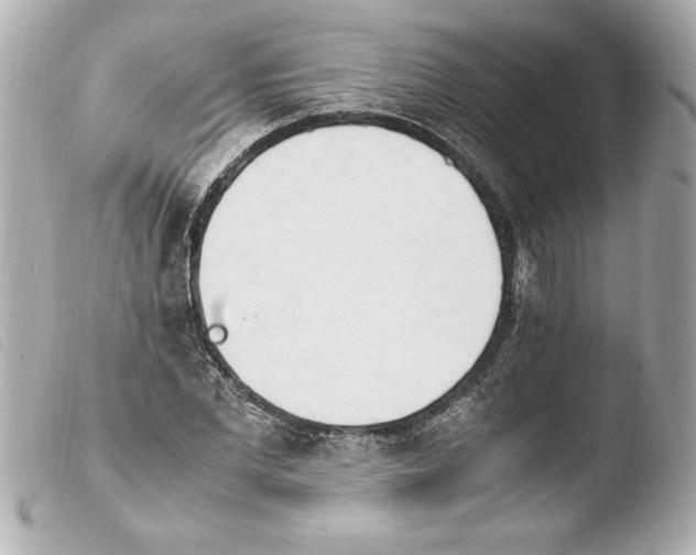 X0000103940877200810031320