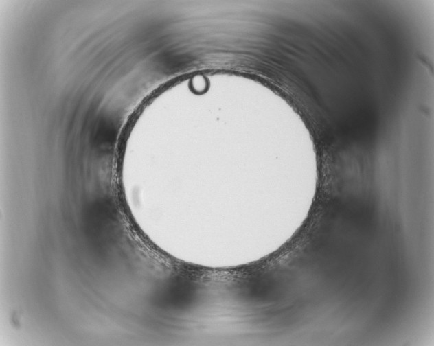 X0000103940880200810031320