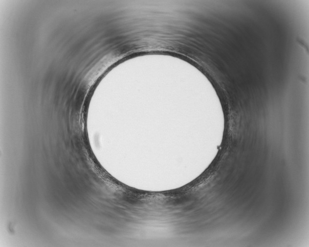 X0000103940885200810031319