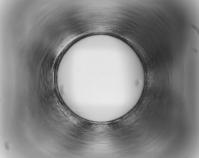 X0000103940886200810031319