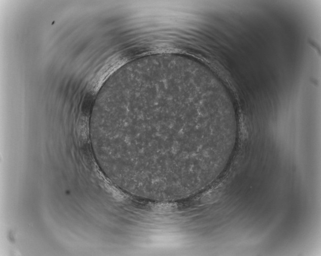 X0000103940889200810031319