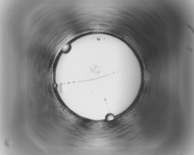 X0000103940891200810031319