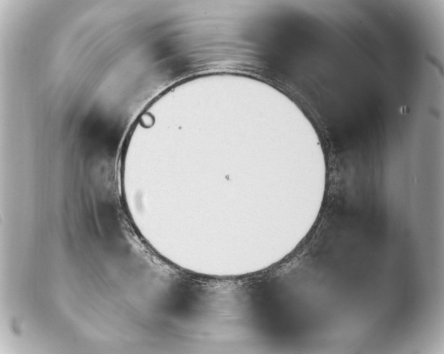 X0000103940892200810031319