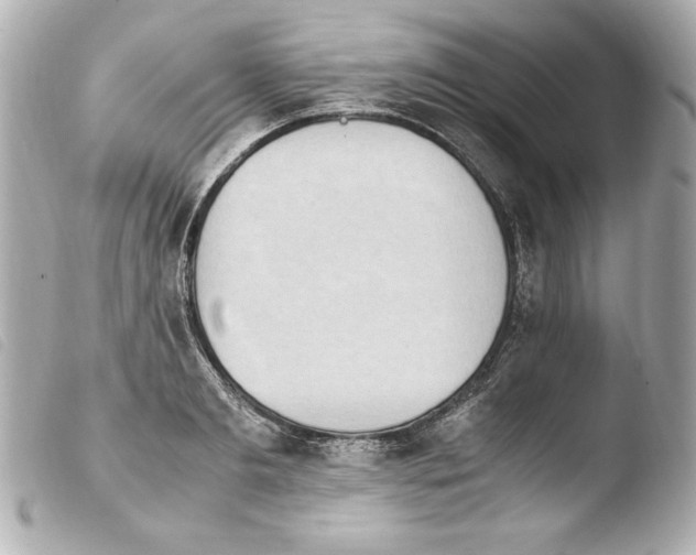 X0000103940893200810031319