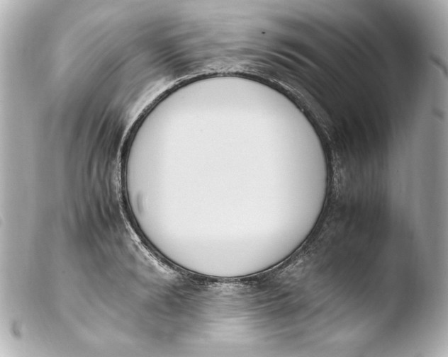 X0000103940894200810031319