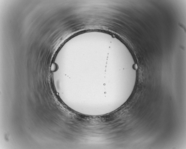 X0000103940895200810031319