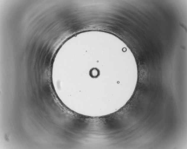 X0000103940896200810031319