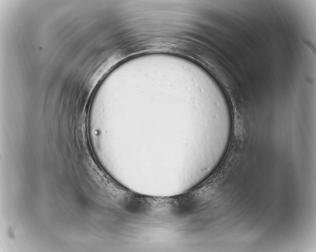 X0000103940899200810031319