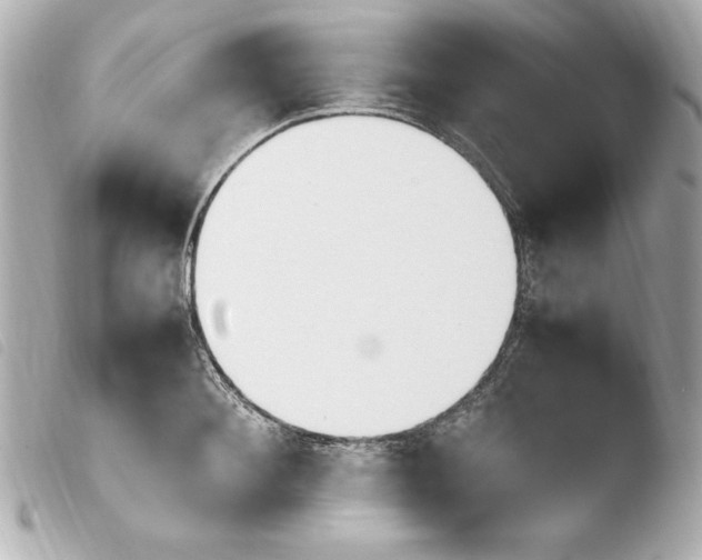 X0000103940900200810031319