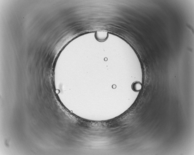 X0000103940901200810031319