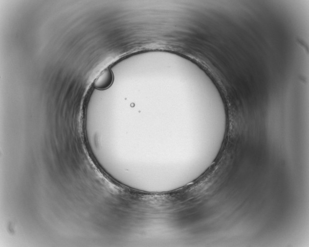 X0000103940902200810031319