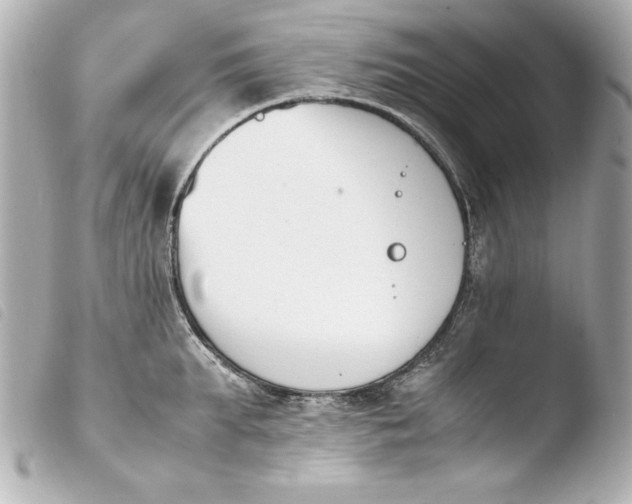 X0000103940903200810031319