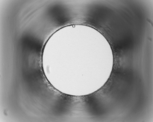 X0000103940904200810031319