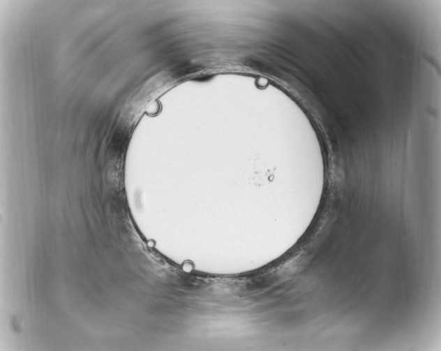 X0000103940905200810031319