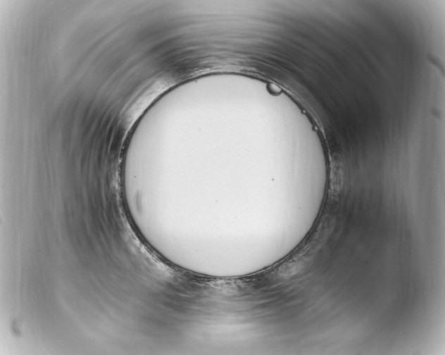 X0000103940906200810031319