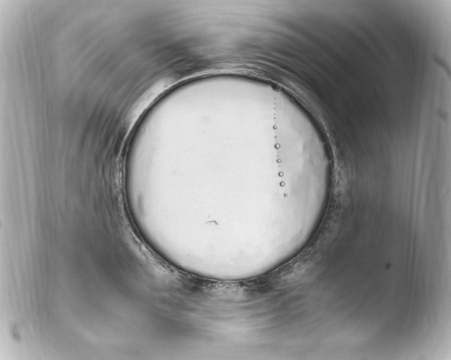 X0000103940907200810031319