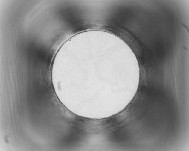 X0000103940908200810031319