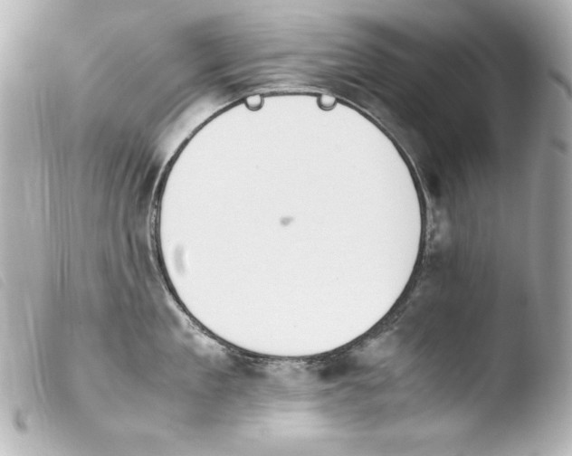 X0000103940909200810031319