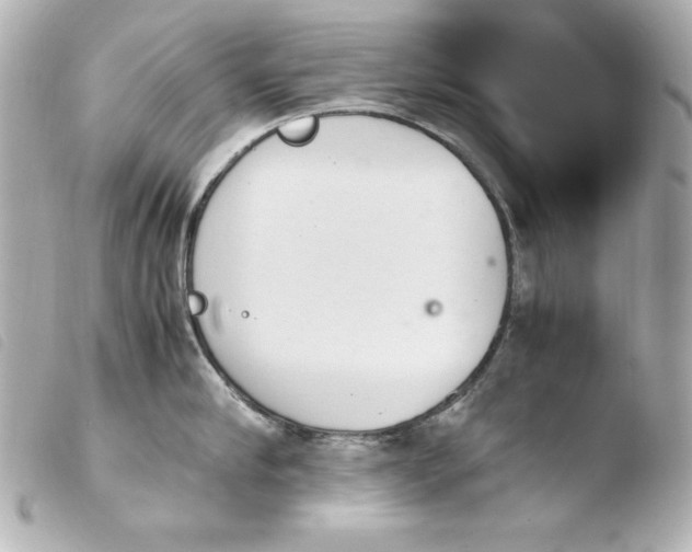 X0000103940910200810031319