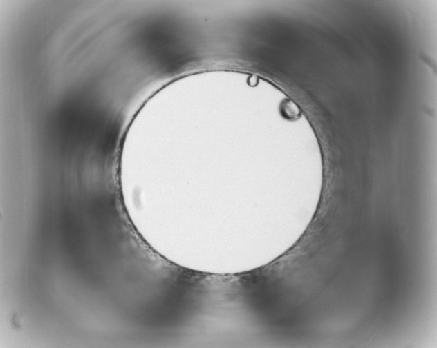 X0000103940912200810031319