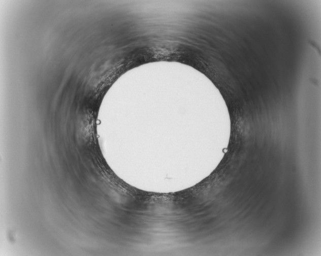 X0000103940914200810031318