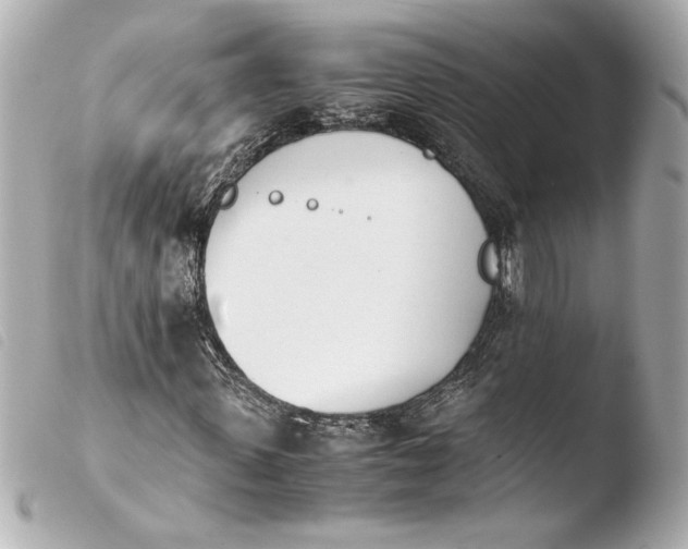 X0000103940915200810031318