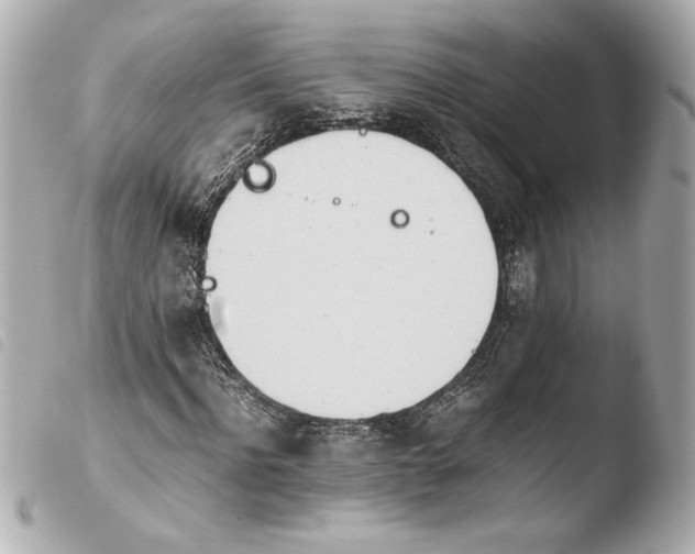 X0000103940916200810031319