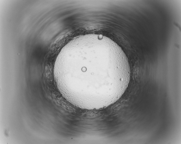 X0000103940917200810031319