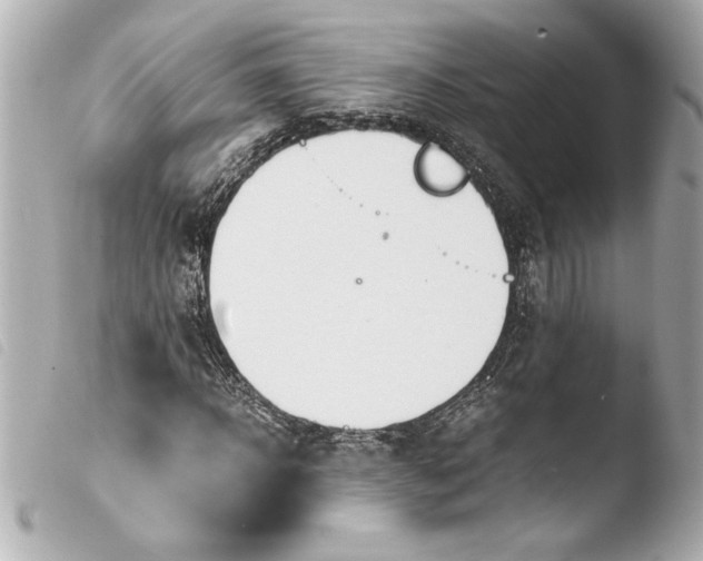 X0000103940918200810031319