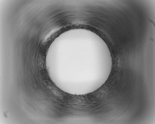 X0000103940919200810031319