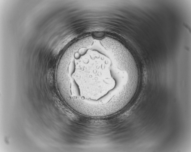 X0000103940921200810031319