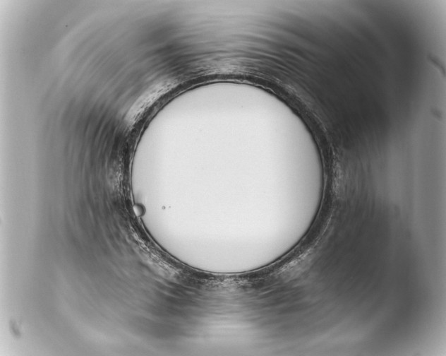 X0000103940922200810031319