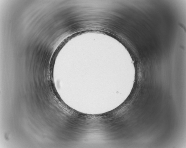 X0000103940924200810031319