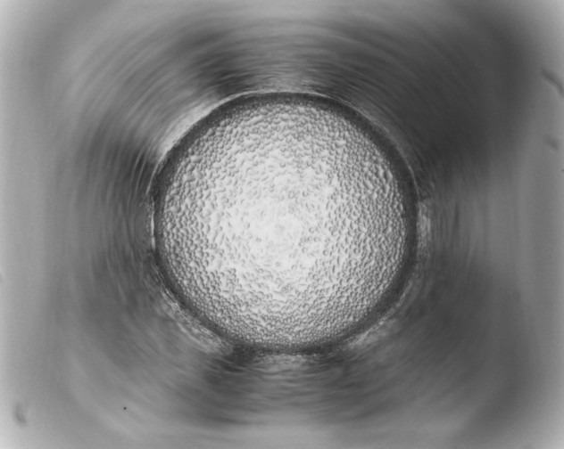 X0000103940925200810031319