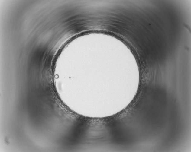 X0000103940927200810031319