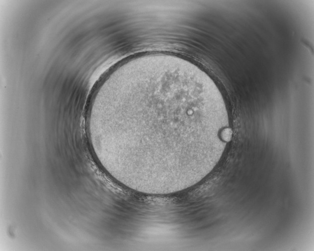 X0000103940928200810031319